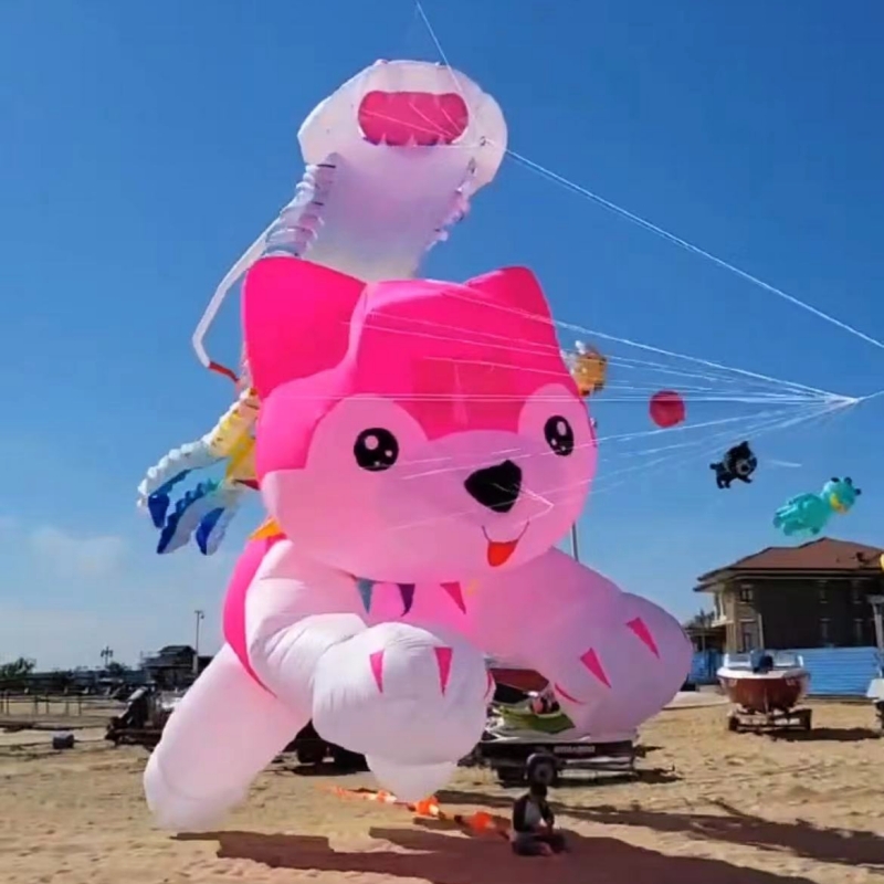 Dev uçurtmalar uçan şişme uçur - Kite Wind Outdoor incelemesi ve fiyatı