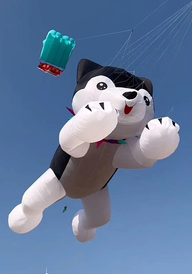 Dev uçurtmalar uçan şişme uçur - Kite Wind Outdoor incelemesi ve fiyatı