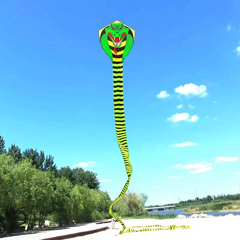 15 m Büyük çocuklar için yılan - Kite Wind Outdoor incelemesi ve fiyatı