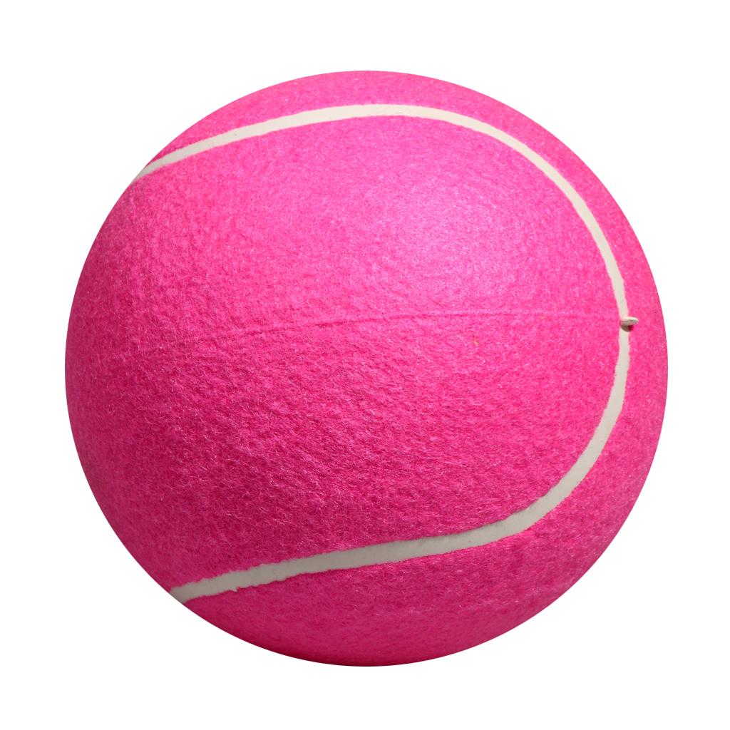 Köpek Tenis Topu Oyuncağı Şişi - Kids Toys Exhibition incelemesi ve fiyatı